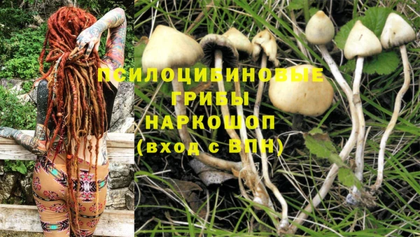 не бодяженный Белокуриха