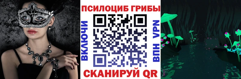 Галлюциногенные грибы Psilocybine cubensis  мега зеркало  Можайск 